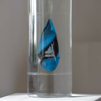 Blu fluttuante, 2023, Höhe 33 cm, Durchmesser 14 cm