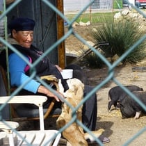 Praia Aldo Marin    die Frau mit den Schweinen....