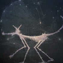 walter schmögner, "im jahr des hundes", 2022, 60 x 80 cm, mixed media on canvas – erlas galerie