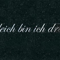 arnold reinthaler, "gleich bin ich dran", 2012, 40 x 70 x 3 cm, engraving/black granite – erlas galerie