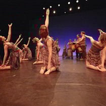 Photographie de sport spectacle de danse 