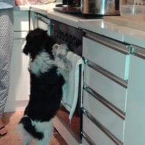 ... beim Kochen helfen ...