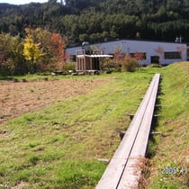 2005ハンモックテラス付近