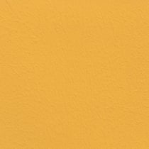 264_orange juice_Lehmfarbe