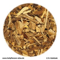 Angelikawurzel (Angelicae archangelicae radix)