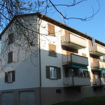 2 Eigentumswohnungen in Erlen, Dominostrasse 5