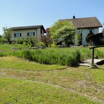 Baulandparzelle Rothrist