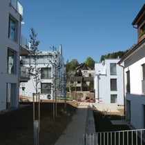 20 Eigentumswohnungen in Ebmatingen, Chalenstrasse 11a, 11b und 11c, Lebernstrasse 23