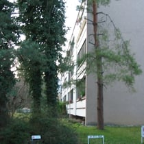 Eigentumswohnung in Weiningen, Zürcherstrasse 80