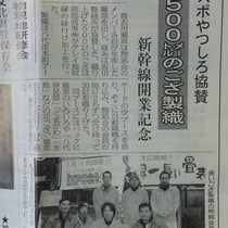 ござ製作者たち　　提供　敷物新聞社