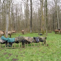 Utilisation des supports vélos