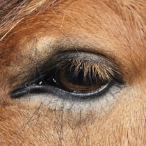 Petit clin d'oeil d'Epson