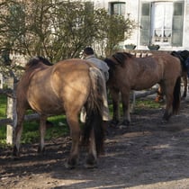 Préparation du lendemain