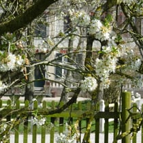 la nature les Mollières Ferme Relais de la Baie de Somme gîtes de groupe baie de somme