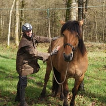 iliade et son cavalier Hervè