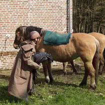 Dernier effort avant le départ