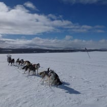 Auf dem Trail von Messlingen Richtung Storsjön...