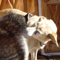 Oder noch besser die warme Nachmittagssonne auf der Terasse!