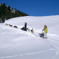 Letzte Trainingsfahrt vor dem Rennen.