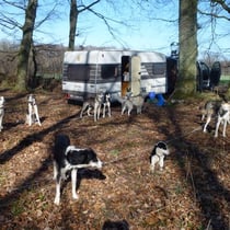 Wir sind durch die Nacht gefahren, und machen tagsüber in Norddeutschland eine ausgedehnte Pause.