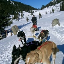 Trainingsfahrt im Trattenbachtal.