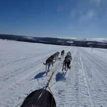 ...und wieder zurück nach Messlingen.