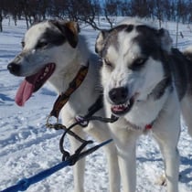 Ups, Aerger mit der Nachbarin? Alles nur halb so wild!