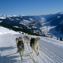 Am zweiten Tag geht's nach dem Gipfel auf einer tollen Schlittelpiste ganz runter ins Tal bis nach Bramberg. Perfekt organisiert vom Veranstalter finden wir dort unser Auto und den Anhänger vor, so dass wir alle müde und glücklich zurückfahren können.