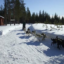 Alles glatt gegangen, wir haben wieder zurück gefunden!