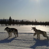 ...es lohnt sich ab und zu eine Pause einzulegen.