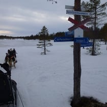 Erste Schlittenfahrt in Drevdagen.
