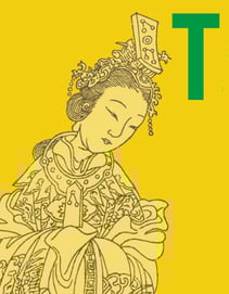 Transgressive Typologies