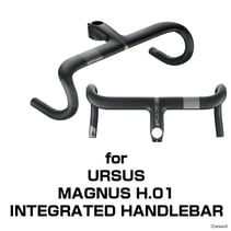 for URSUS MAGNUS H.01
