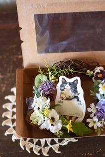 スカカード♪¥200-