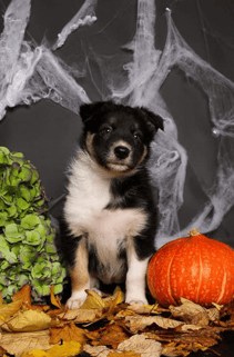 © Rianne/rainbow7.nl