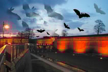 Foto: Christoph Fischer