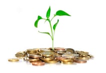 Montes con rentas sostenibles y perpetuación de las plantaciones