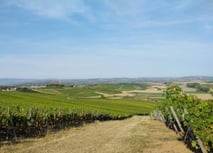 Höfewandern in Bosenheim  &  Wein & Wandern im Paradies Weingut W. Stumm