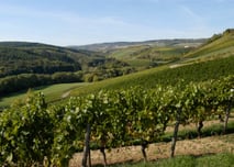 Urlaub in Rheinland-Pfalz - Wein, Natur und Wellness - und jede Menge Gastfreundschaf!