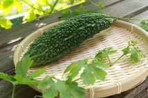 　　　ゴーヤー（ニガウリ）