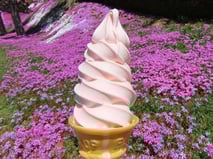 芝ざくらソフト