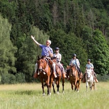 Wanderritte in der Eifel