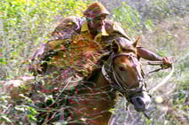 vaquejada, raimundo jacó, vaqueros, serrita, brasil, pernambuco, monta de toros, espectáculos, forró, luiz gonzaga, parque estadual joão câncio