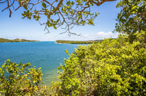 viewpoint, river mouth, rio formoso, pernambuco, boat trip, day trip, brazil, german tour guide, praia dos carneiros, mangrove tour