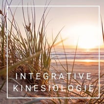 Integrative Kinesiologie, Sandra Kunz, Praxis für Integrative Kinesiologie Muri