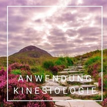 Anwendung Kinesiologie, Sandra Kunz, Praxis für Integrative Kinesiologie, Muri