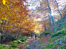Guías de montaña Gredos