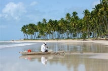 pescador, barco de pesca, rio formoso, praia dos carneiros, tamandare, brasil, praia dos sonhos, coqueiros, paraíso, viagem ao brasil, férias na praia