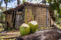 agua de coco, cascada, urubu, convento, selva atlántica, río ipojuca, campos de caña de azúcar, restaurante moquém, primavera, prasilien, viajes de aventura
