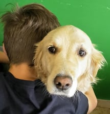 Therapiehündin Emma